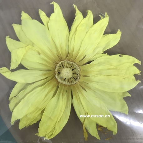 Lotus Flower Dryer
